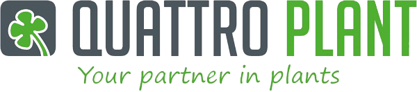 Quattro Plant * Your Partner in Plants